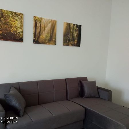 Vercelli Suite Borgo Vercelli Extérieur photo